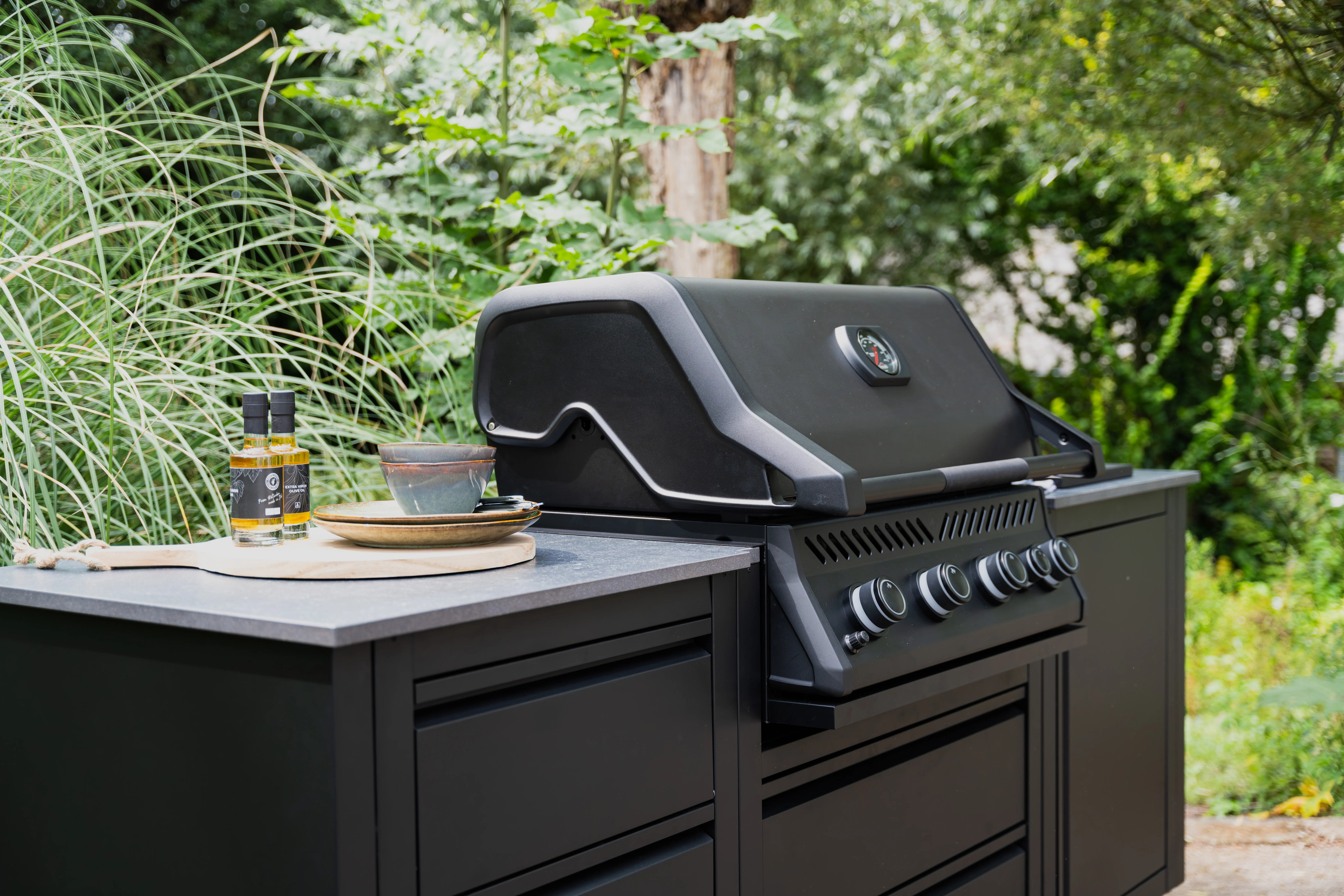 grill Napoleon BIR32RBPMK-PL